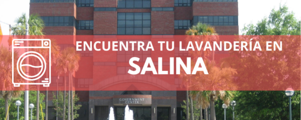 ENCUENTRA TU LAVANDERÍA EN SALINA