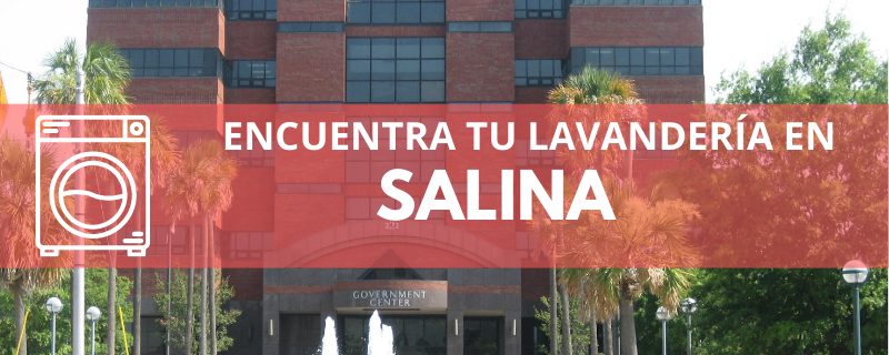 ENCUENTRA TU LAVANDERÍA EN SALINA