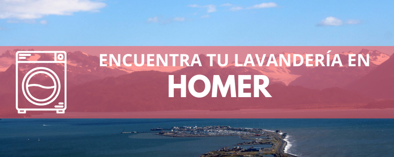 ENCUENTRA TU LAVANDERÍA EN HOMER